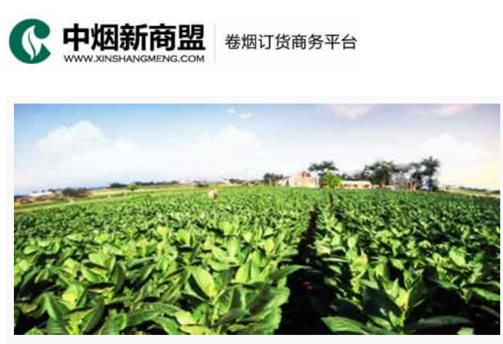 中烟新商盟卷烟订货商务平台-彩神邀请码网址